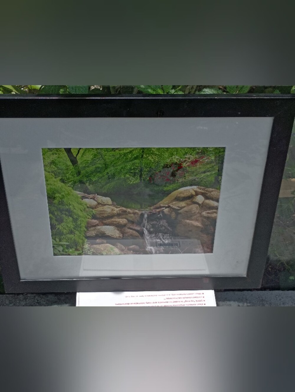 Greg Lindenblom- Sofiero Pond In Sweden Framed Nature Waterfall  in Black Frame.